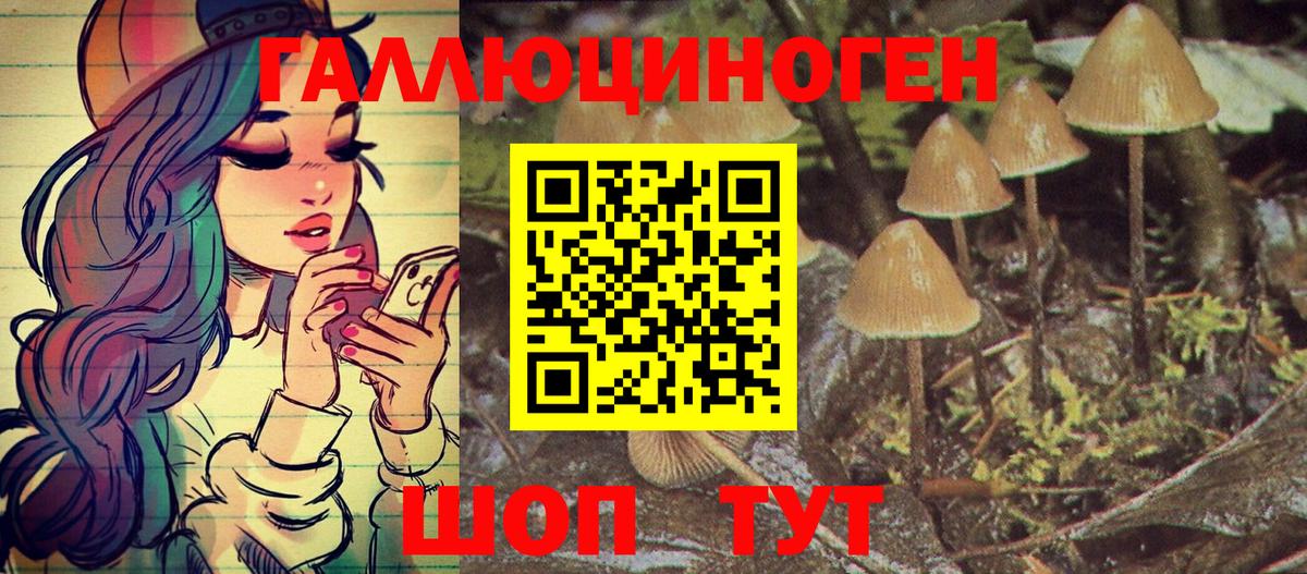 Псилоцибиновые грибы мицелий  Галлюциногенные грибы Psilocybine cubensis  Кропоткин  Вход с VPN 