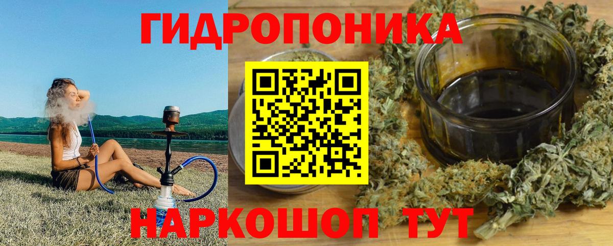 Конопля гибрид Кропоткин